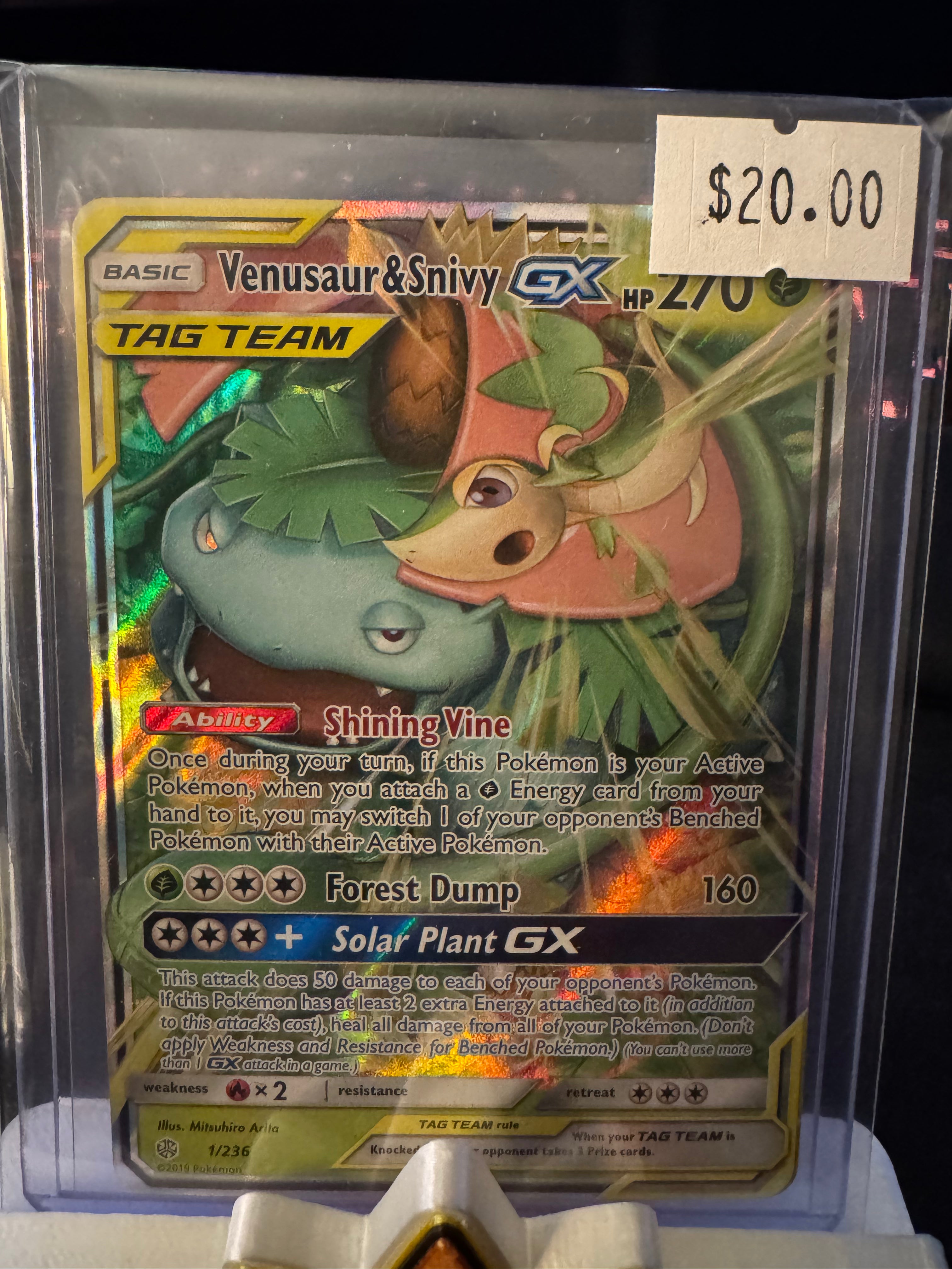 Venusaur & Snivy (Raw)